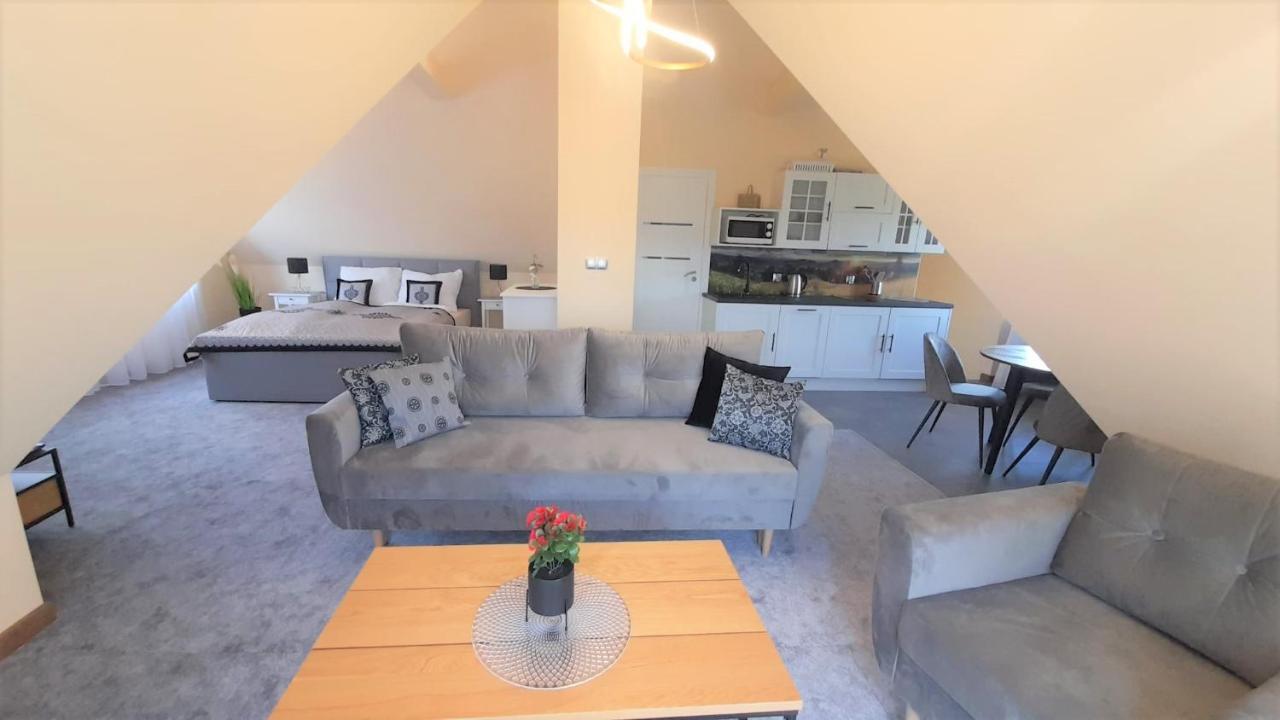 Apartamenty Geiger Witów 外观 照片